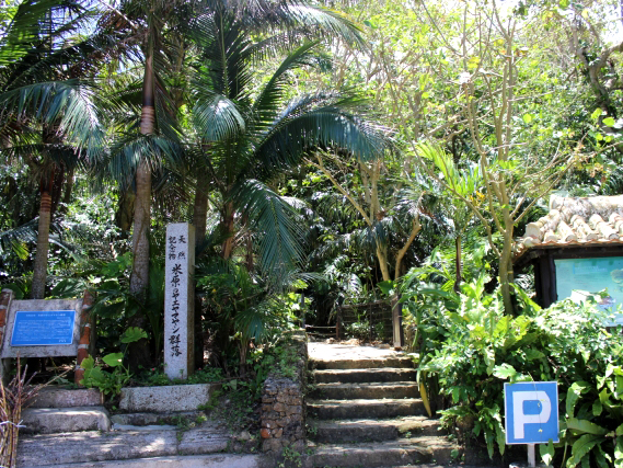 【石垣島/約4時間】島内おすすめコース＜桃林寺→唐人墓→石垣やいま村→川平湾→玉取崎展望台＞他リクエストもOK！ホテル＆空港送迎付き（ES-39）