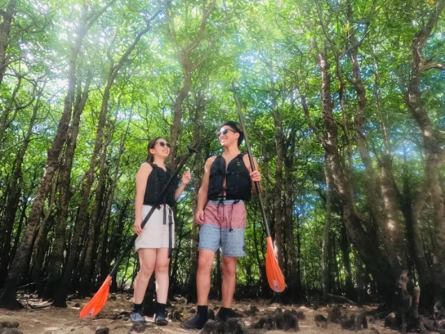 【石垣島/半日】石垣島の天然記念物！初心者も楽しめるマングローブSUPツアー（ES-60）