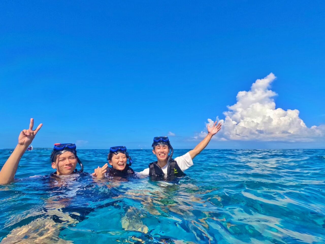 【西表島/半日】奇跡の島でウミガメと泳ごう！バラス島ボートシュノーケリングツアー（ES-43）
