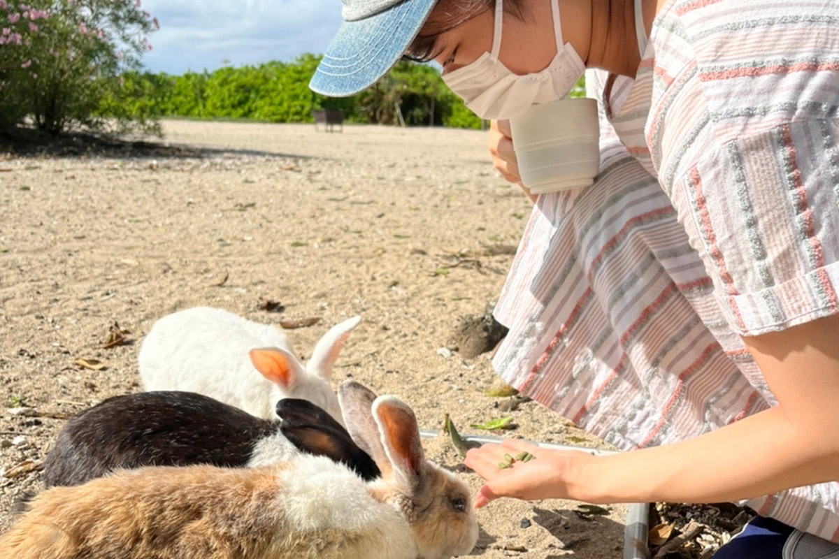 【カヤマ島1日】小学生～参加OK！珊瑚礁が広がるエメラルドブルーの海中世界をシュノーケリングで探検しよう！＜昼食付＞(ES-88)