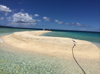 【石垣島発着/1日】3歳から参加OK！鳩間島散策＆奇跡の島『バラス島』シュノーケリングツアー＜往復フェリーチケット＆昼食付き＞（ES-85）