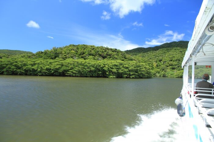 【石垣島発/13:00便】西表島2島巡り観光コース＜西表島（仲間川マングローブ）→由布島（水牛車→植物園見学）＞手荷物預り無料★（ES-93）