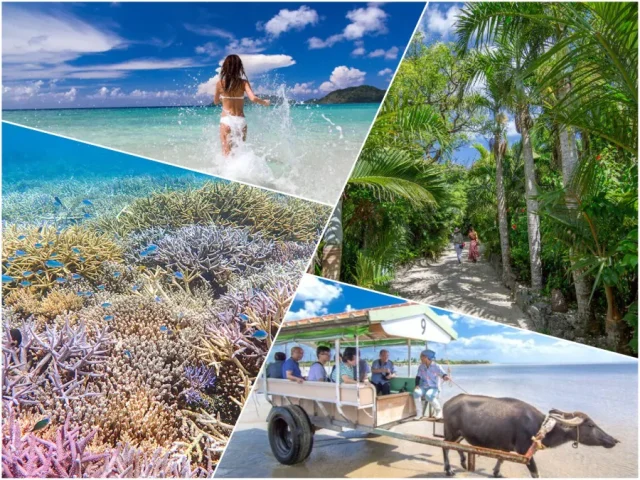 【ツアーズ限定割引】西表島⇆石垣島フェリーチケット付き★バラス島シュノーケリング＆『由布島』水牛車観光ツアー★写真無料