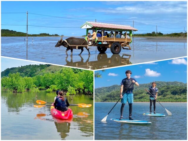 西表島・由布島の楽しみ方完全ガイド！水牛車・植物園・おすすめ観光スポット紹介
