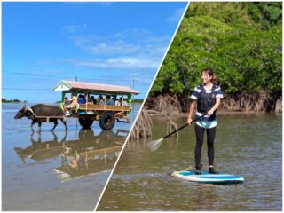 【1日】観光とアクティビティがお得なセットに！由布島観光&マングローブSUP/カヌー(ES-45)