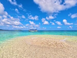 【西表島/半日】奇跡の島『バラス島』でウミガメと泳ごう！世界に2つだけのサンゴ島で体験する感動のシュノーケリングツアー