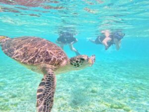 【西表島/1日】バラス島シュノーケリング＆キャニオニング！大自然を遊び尽くす水遊びアドベンチャーツアー