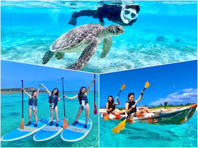 西表島SUPの魅力を徹底解説！水牛×滝×大自然の癒し旅【半日・1日プラン】