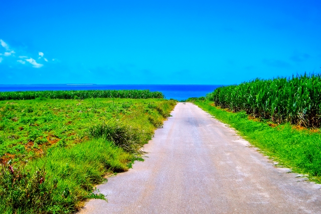 小浜島