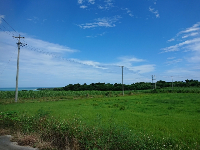 石垣島から約25分！小浜島の魅力や絶対に外せない観光スポットをご紹介！