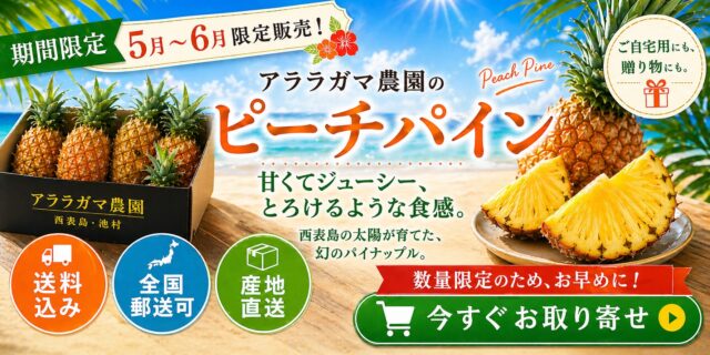 西表島のパイナップル通販KV