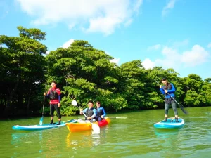 【石垣島/1日】海と川を制覇☆石垣島最長『宮良川』マングローブSUPorカヌー＆『青の洞窟』シュノーケリングツアー