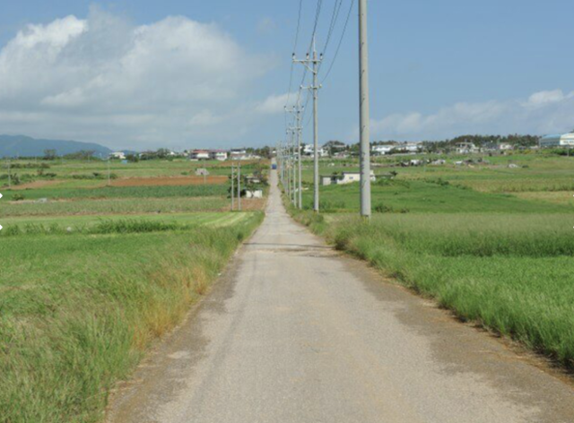 【石垣島発着/1日】大人気の4島（西表島・由布島・小浜島・竹富島）巡り日帰りツアー＜0歳～参加OK！送迎＆昼食付き＞（ES-83）