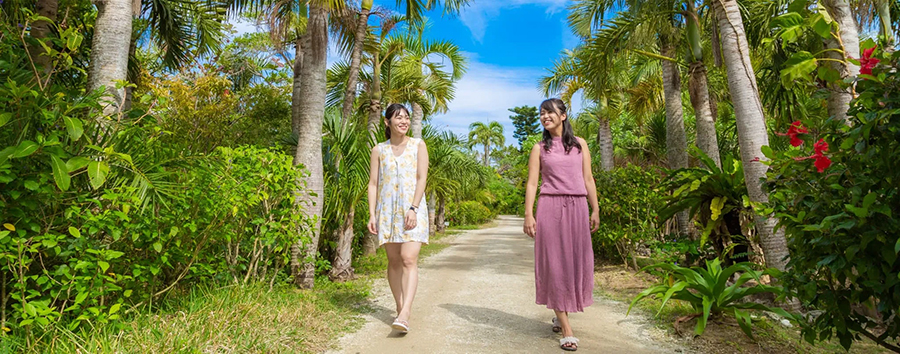 【石垣島/1日】人気の2島（西表・由布島）巡り日帰りツアー＜0歳～参加OK！郷土料理の弁当付き＞(ES-106)