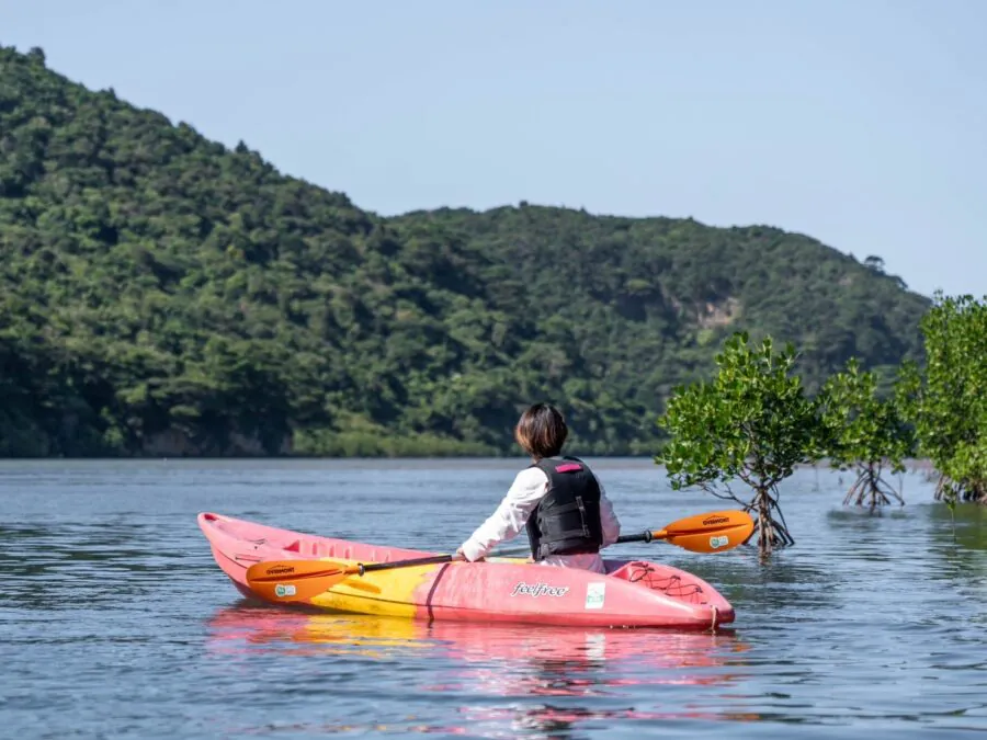【ツアーズ限定割引】西表島⇆石垣島フェリーチケット付き★水牛車で渡る『由布島』観光＆西表島ジャングルSUPorカヌーツアー★写真無料（No.546）