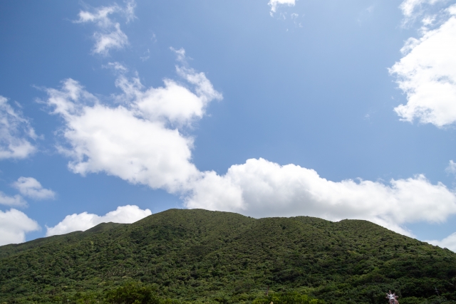 於茂登岳